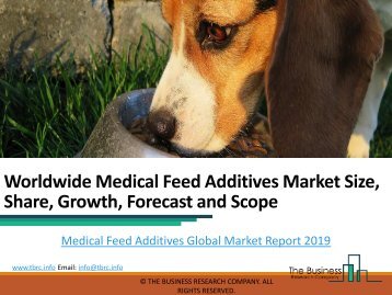 Medical Feed Additives Global Market Report 2019