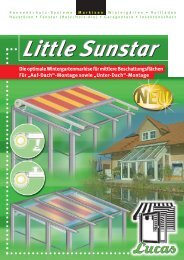 Little Sunstar - Lucas Fenster