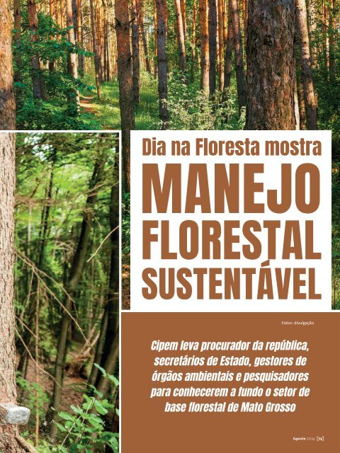 *Agosto / 2019 - Referência Florestal 210