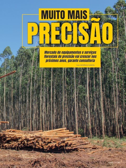 *Agosto / 2019 - Referência Florestal 210