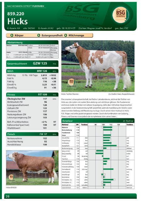 Greifenberger Bullenkatalog 2019/2020