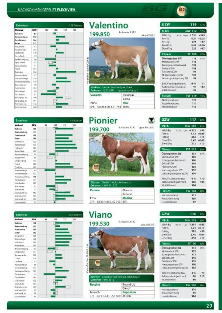 Greifenberger Bullenkatalog 2019/2020