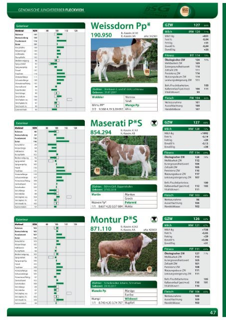 Greifenberger Bullenkatalog 2019/2020