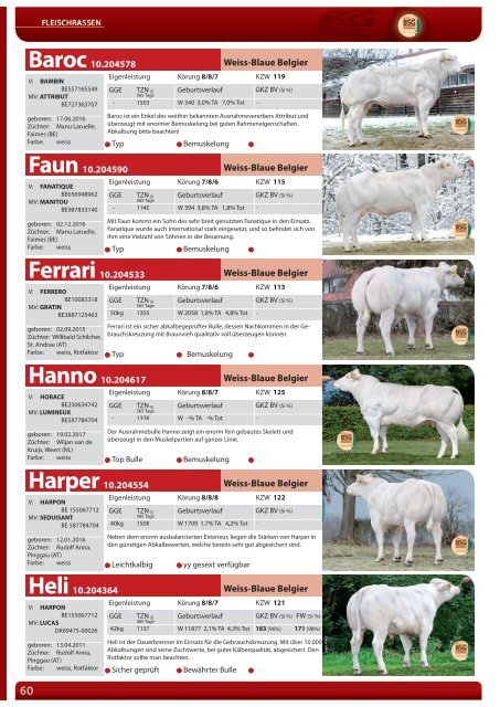 Greifenberger Bullenkatalog 2019/2020