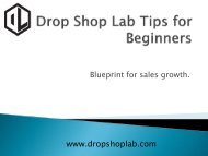 For Beginners - Blue print for sales growth Drop Shop Lab Tips