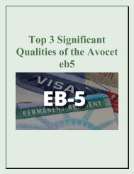 Top 3 Significant Qualities of the Avocet eb5