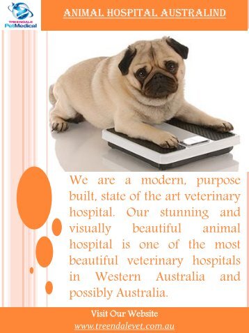 Animal Hospital Australind