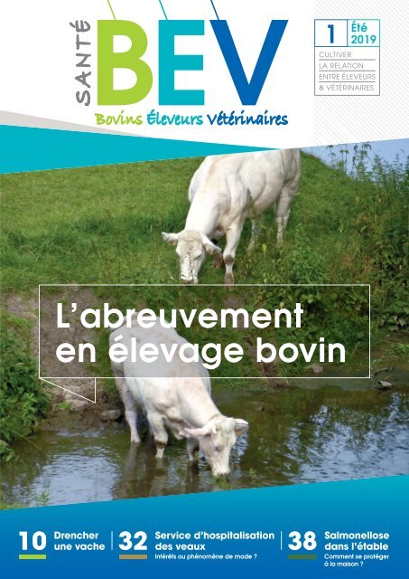 Mag-BEV-Aout 2019-VF