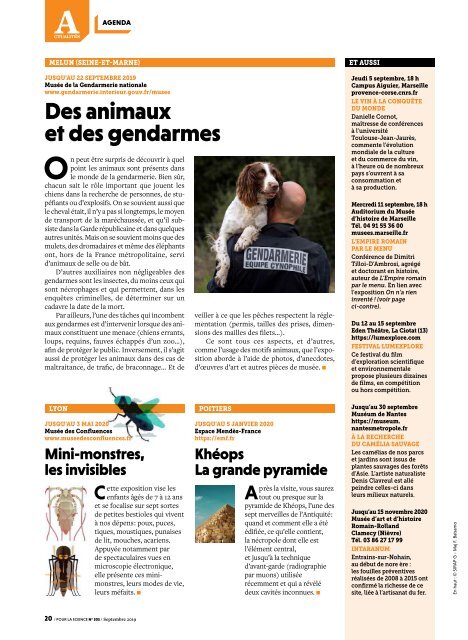 Pour la Science n°503 - Septembre 2019