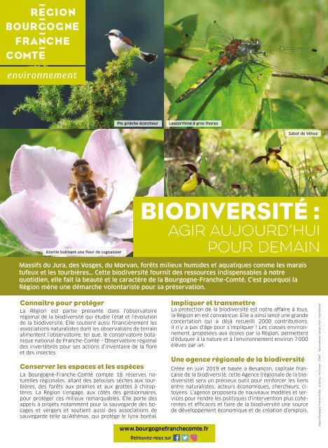 Pour la Science n°503 - Septembre 2019