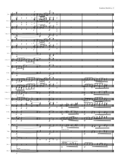 Symphonic Manifold-Thomas Rohrer