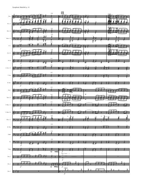 Symphonic Manifold-Thomas Rohrer