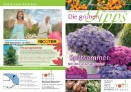 Tipp - Roth Pflanzen AG, 8593 Kesswil