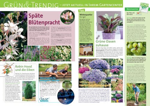 Tipp - Roth Pflanzen AG, 8593 Kesswil
