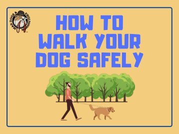 How to Walk Your Dog Safely 