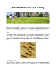 Pest Control Perth PDF