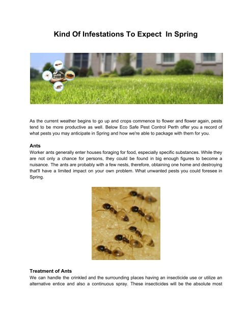 Pest Control Perth PDF
