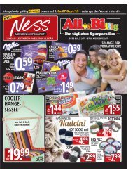 NESS Flugblatt September 2019