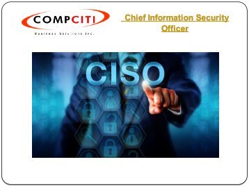 Virtual Chief Information Security Officer