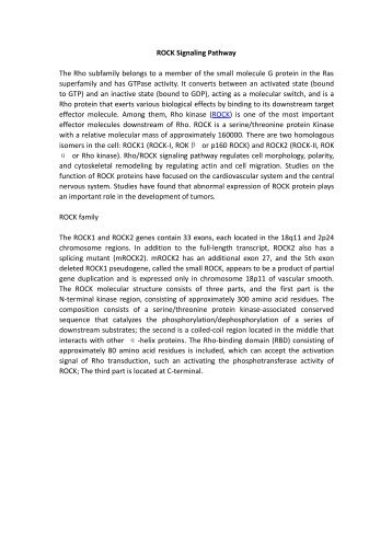 ROCK Signaling Pathway