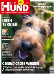 DER HUND: Ausgabe 10/2019