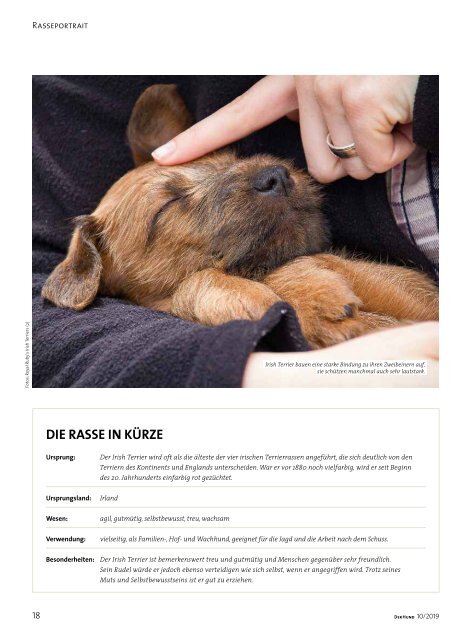 DER HUND: Ausgabe 10/2019