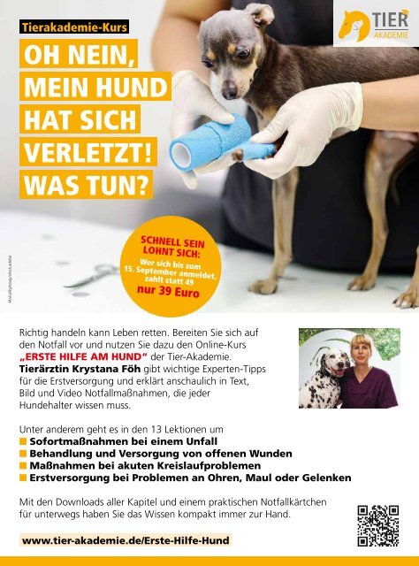 DER HUND: Ausgabe 10/2019