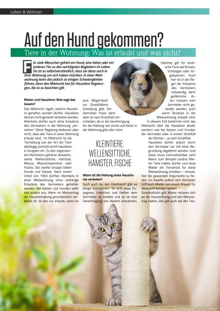 TRENDYone | Das Magazin - Ulm - November 2018
