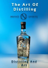 English-Online Magazine of INVIVO SPIRITS