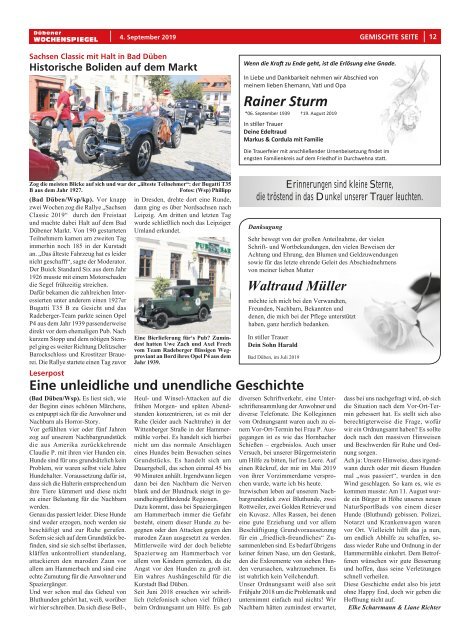 Dübener Wochenspiegel - Ausgabe 17 - Jahrgang 2019
