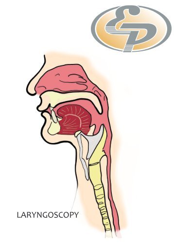 Laryngoscopy Catalog B