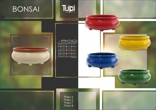 Catálogo Ceramica Tupi 2019 - Web