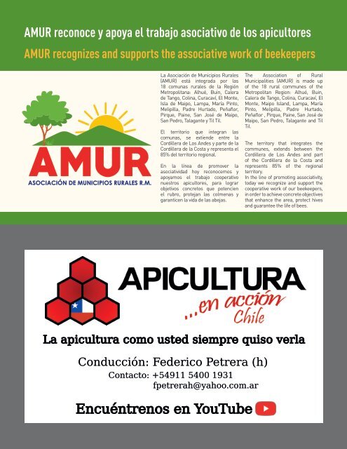 Revista Apimondia En Chile