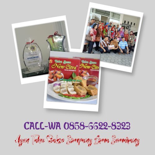 CALL-WA 0858-6622-8323, Agen Tahu Bakso Simpang Lima Semarang 