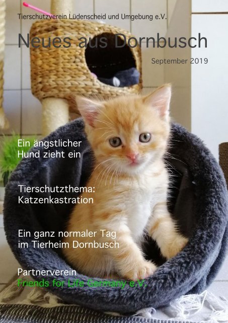 Magazin9-2019HP