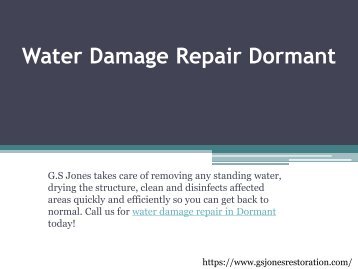 Water Damage Repair Dormant