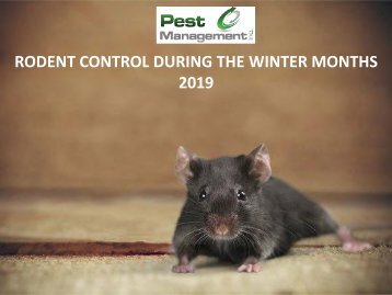 Rodent Control during the Winter Months 2019