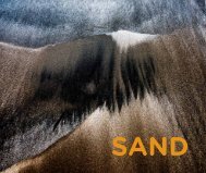 SAND 2019