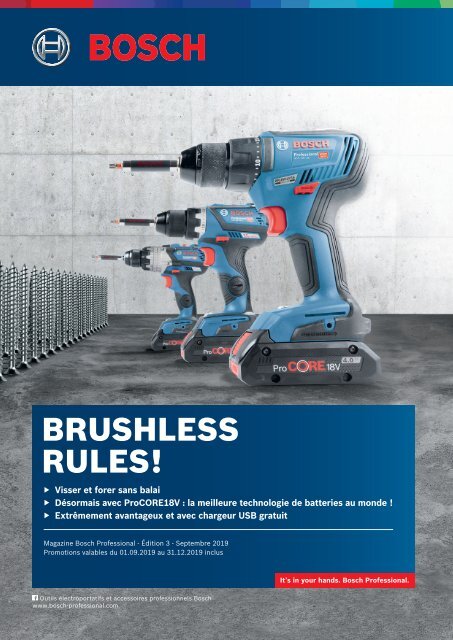 Bosch GSR 12V-15-2-LI Professional (060186810D) au meilleur prix