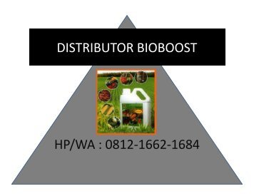 Bioboost Untuk Buah Naga Lamongan, HP/WA : 0812-1662-1684