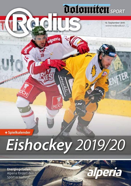 Eishockey 2019/20