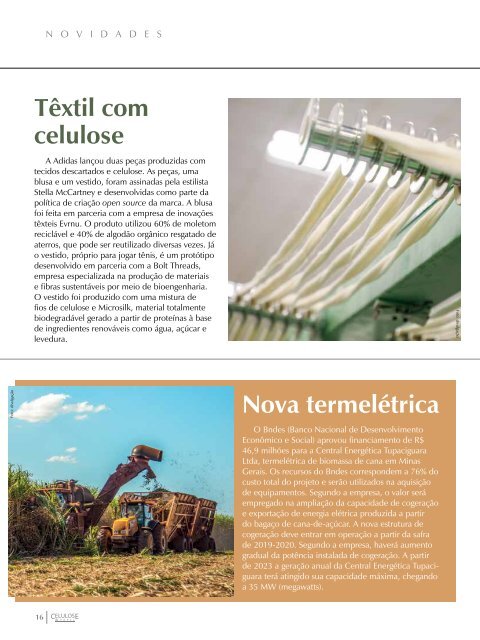 *Agosto / 2019 - Revista Celulose - 41