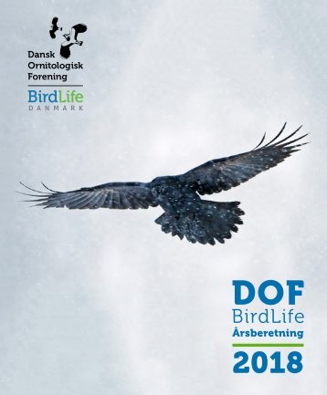 DOF BirdLife Årsberetning 2018