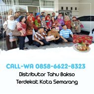 CALL-WA 0858-6622-8323, Distributor Tahu Bakso Terdekat Kota Semarang 