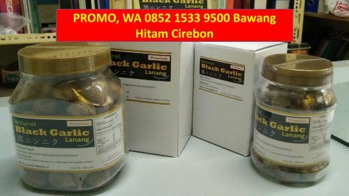PROMO, WA 0852 1533 9500 Bawang Hitam Cirebon