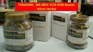 TERJAMIN,  WA 0852 1533 9500 Bawan Hitam Herbal