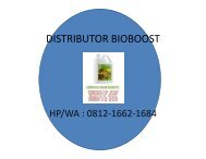 Bioboost Pada Padi Lamongan,  HP/WA : 0812-1662-1684