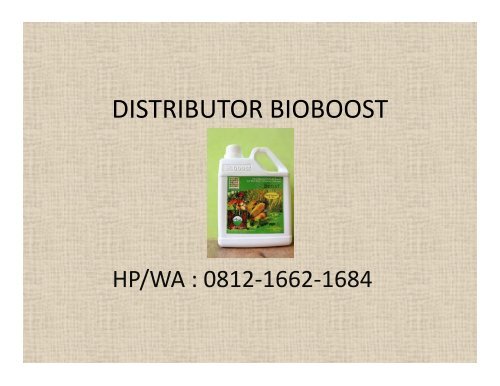 Bioboost Untuk Ternak Ayam Lamongan,  HP/WA : 0812-1662-1684