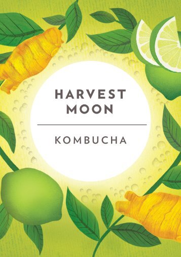 WH183 Kombucha Sales Folder GER AW (1)