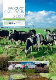 SPAN Catalogus 2020
